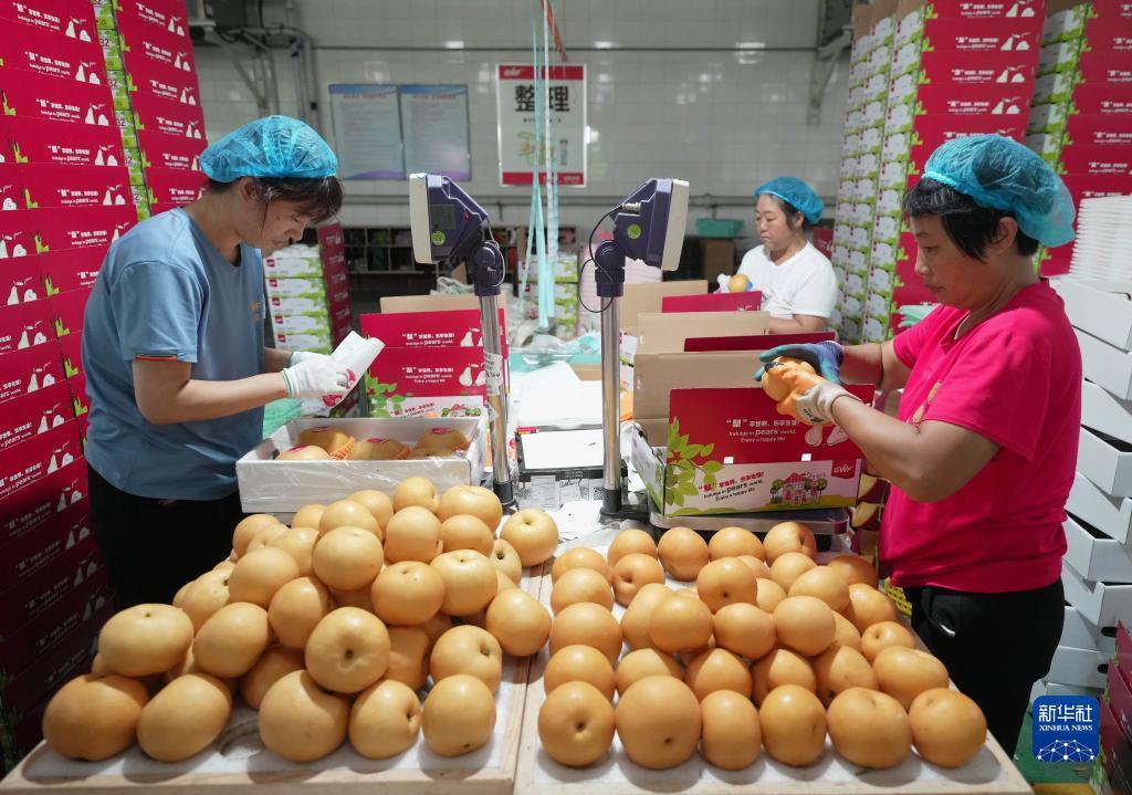 姚记捕鱼游戏技巧心得